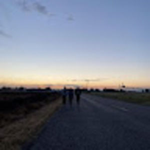 Meet your Posher, Vienna